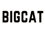 Bigcattr sitesi güvenilir mi